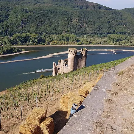 Apartment Ferienwohnung