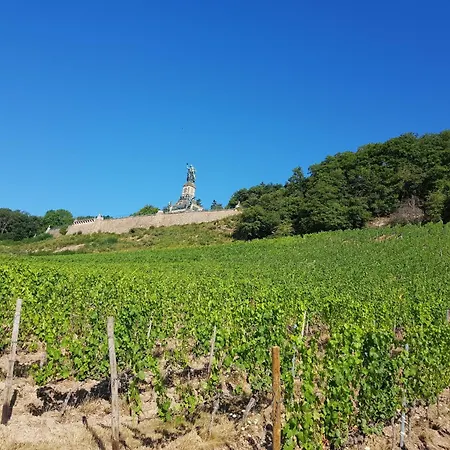 Ferienwohnung Ruedesheim am Rhein