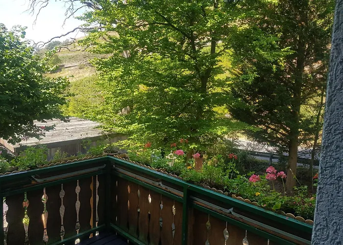 Ferienwohnung Apartment