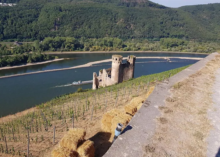 Apartment Ferienwohnung