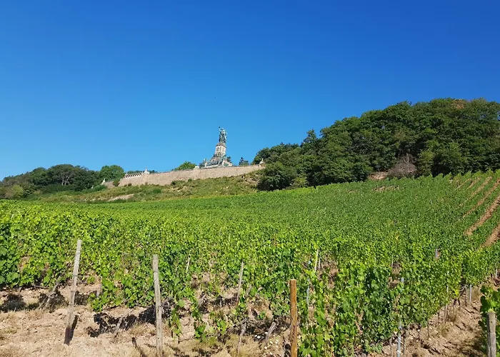 Ferienwohnung Ruedesheim am Rhein